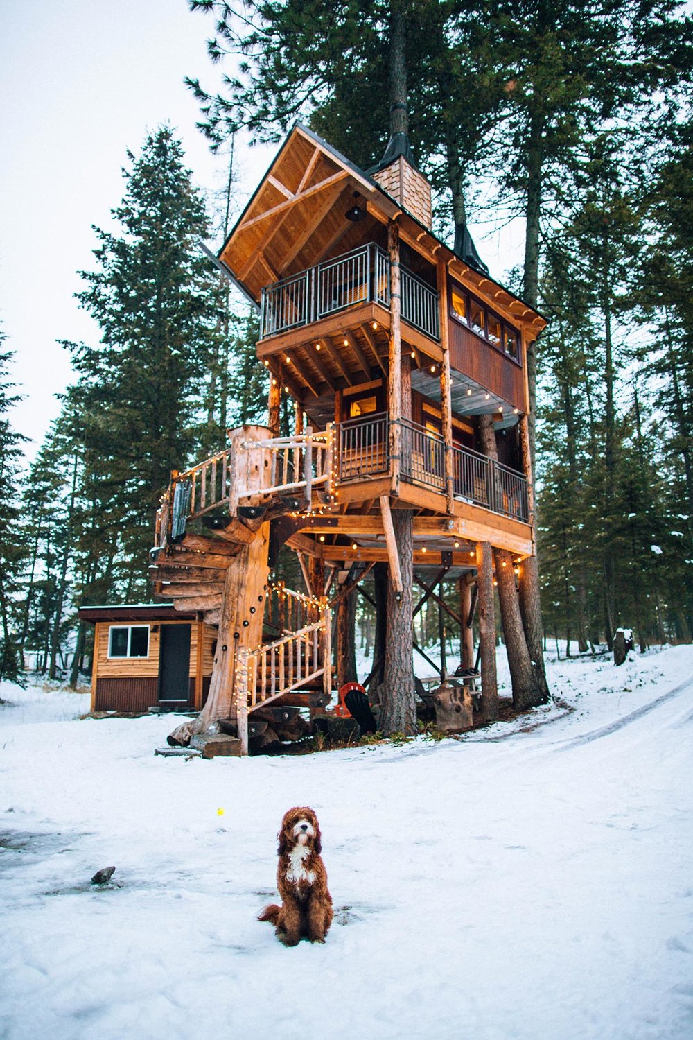 Cozy forest cabin shoot