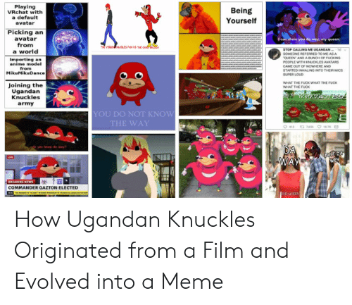 Coo C. reccomend ugandan knuckles fuck your