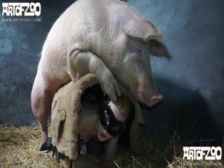 Epiphany reccomend girls having sex with pigs