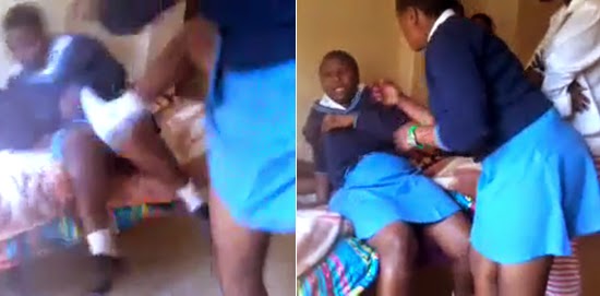 best of Africa school sex girl