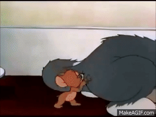 Bull reccomend tom and jerry porn