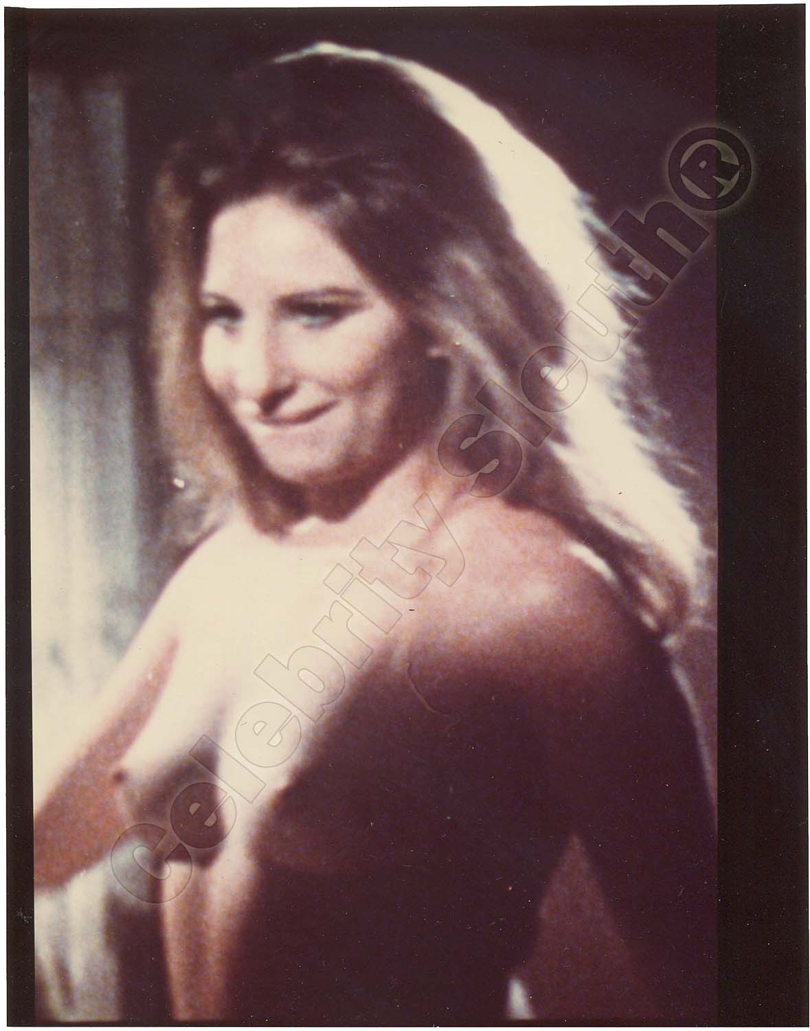 Barbra Streisand Porn.