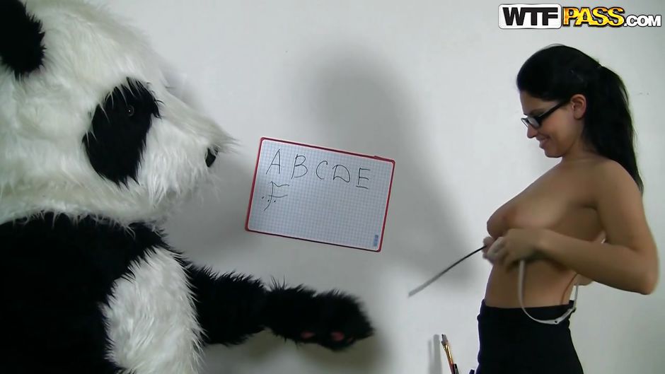 Quck reccomend sexy teacher panda bear