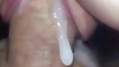 Halfback reccomend perfect pussies creampied closeup dripping