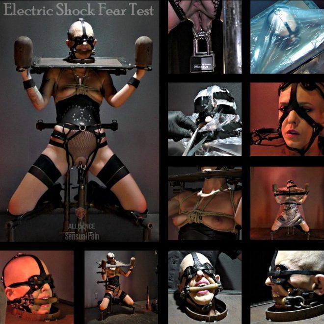 Subzero reccomend electro self torture using computer
