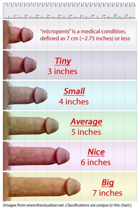best of Dick good size