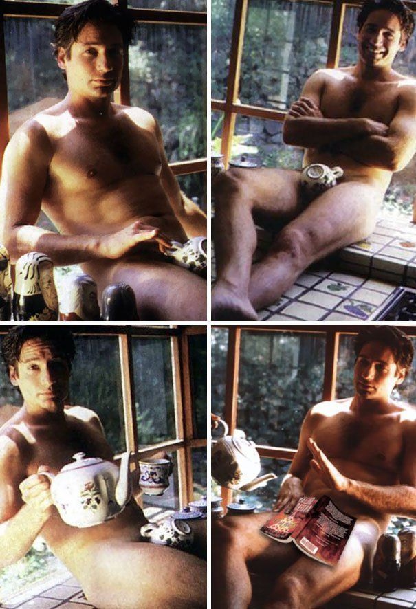 Images of david duchovny nude