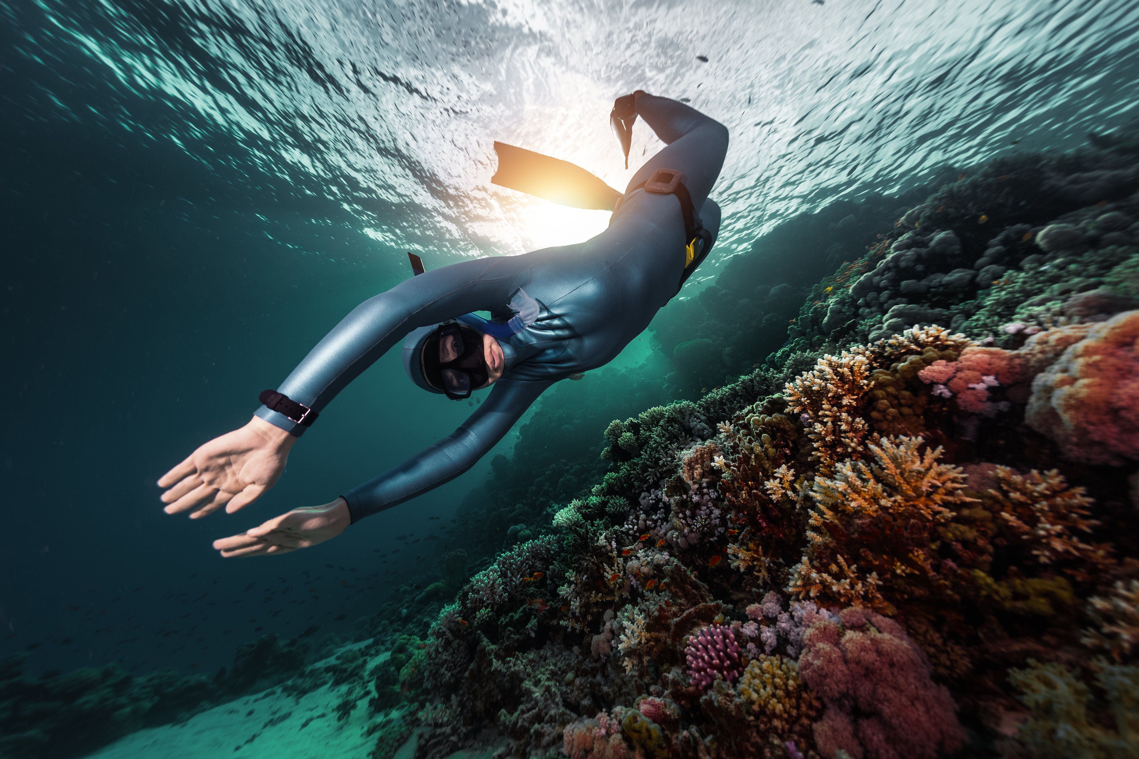 Australia cairns diving nude scuba