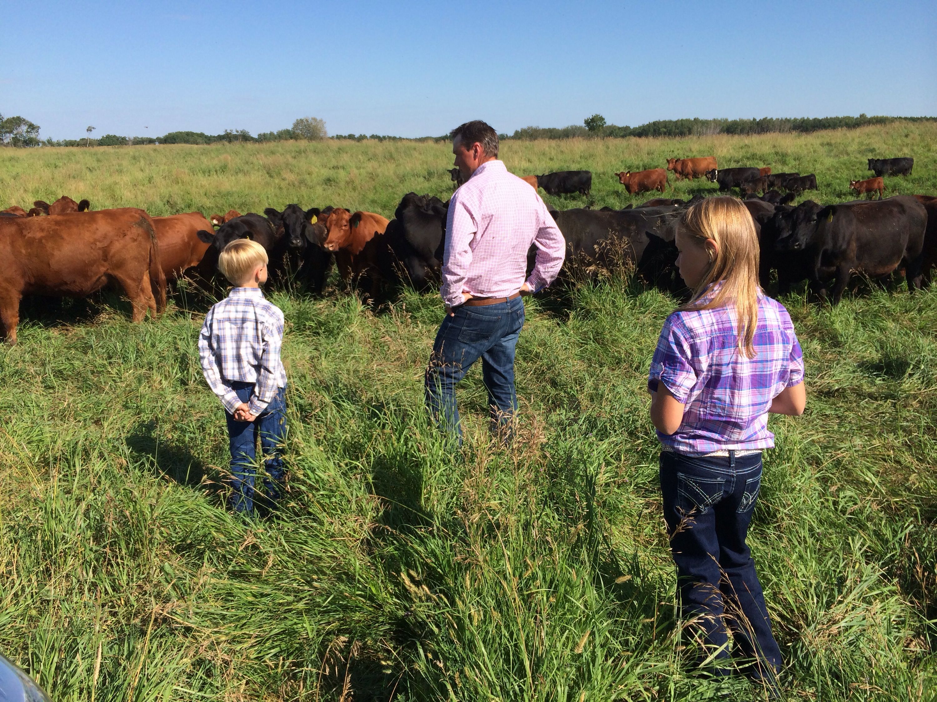 Job search ranch hand cow calf Cattle Ranch Jobs