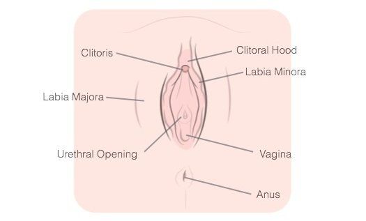 Cobalt reccomend What to do if your labia ripped from masturbation