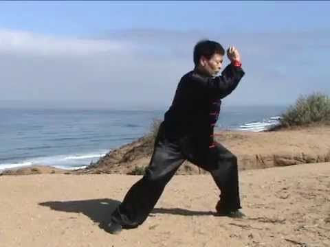 best of Mantis fists Wudang