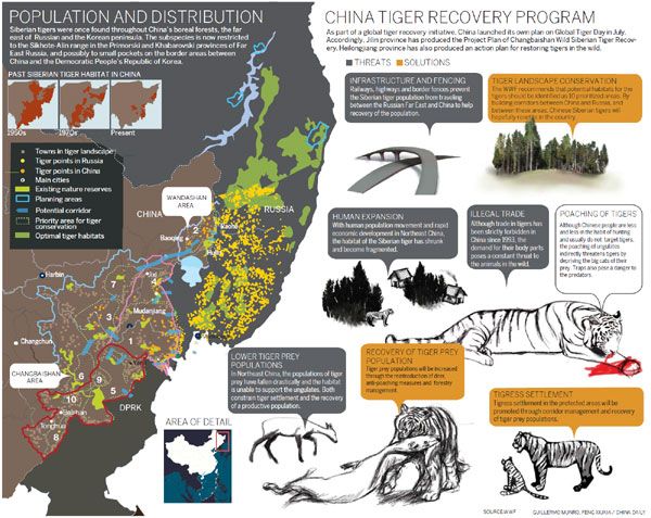 General reccomend Asian forest food web tiger