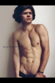 Harry styles fake naked