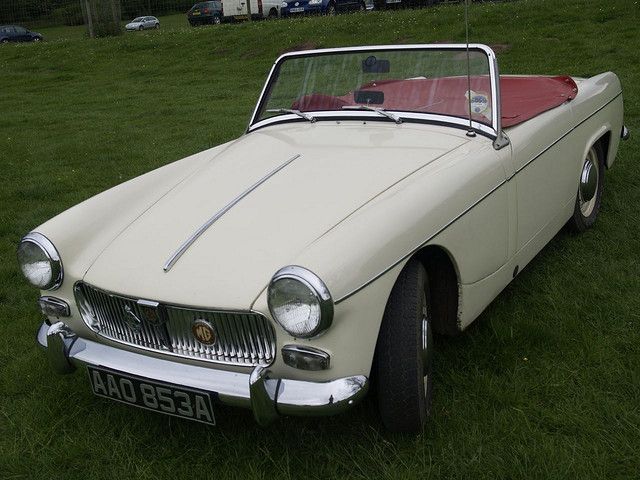 best of Reviews protector Mg sill midget