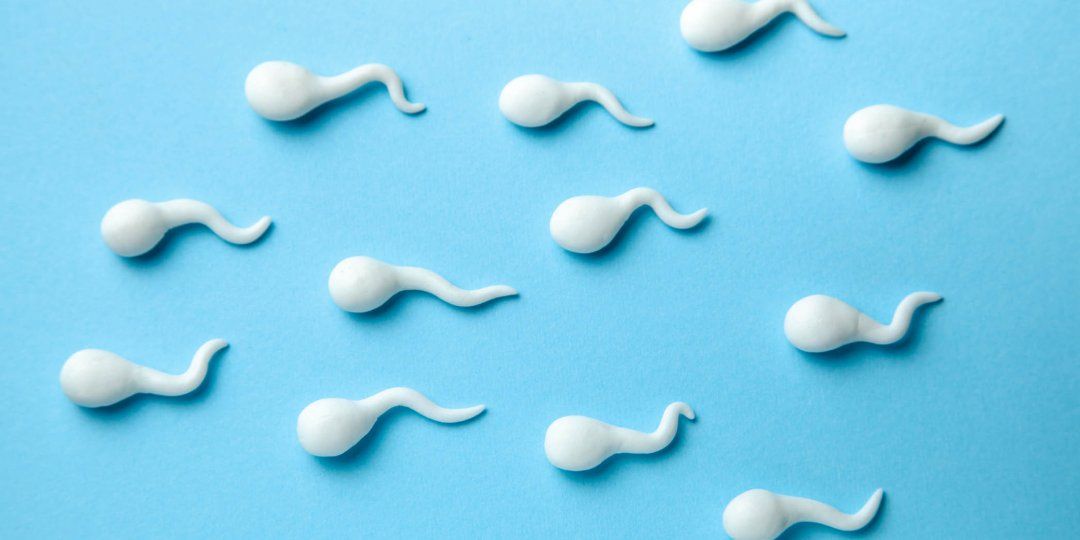 Sling recommendet sperm Scientists make